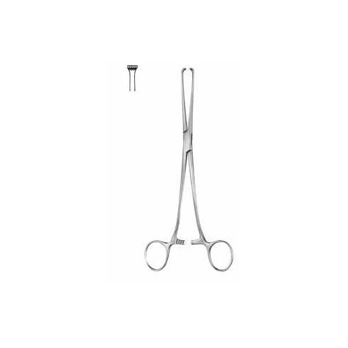 Allis – Papa Instruments